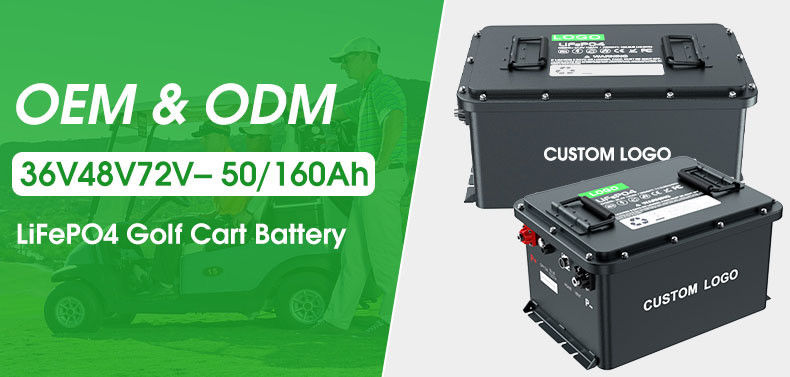 IP67 Lithium Iron Phosphate Battery Golf Cart Lifepo4 Lithium Ion Battery Pack 51.2v Cycle profond